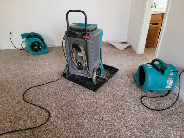 Water damage restoration mold remediation in Shenandoah Heights, PA
