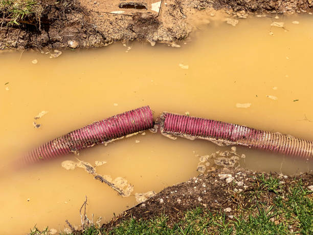 Best Water damage contractors near me  in Shenandoah Heights, PA