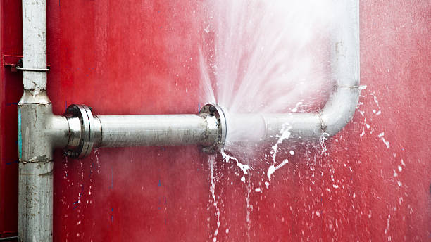 Best Flood damage cleanup  in Shenandoah Heights, PA
