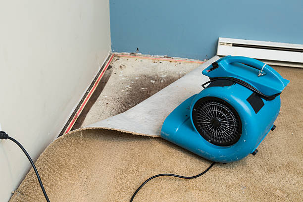 Best 24-hour water damage restoration  in Shenandoah Heights, PA